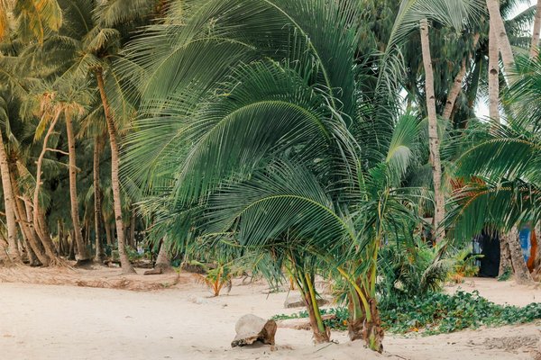 Comparez les pass pour Venise et économisez sur vos visites !