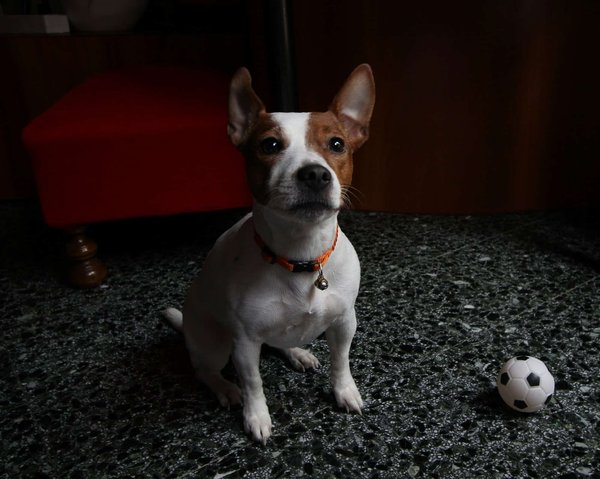 Comment visiter les sites mayas du Guatemala en évitant les foules touristiques ?